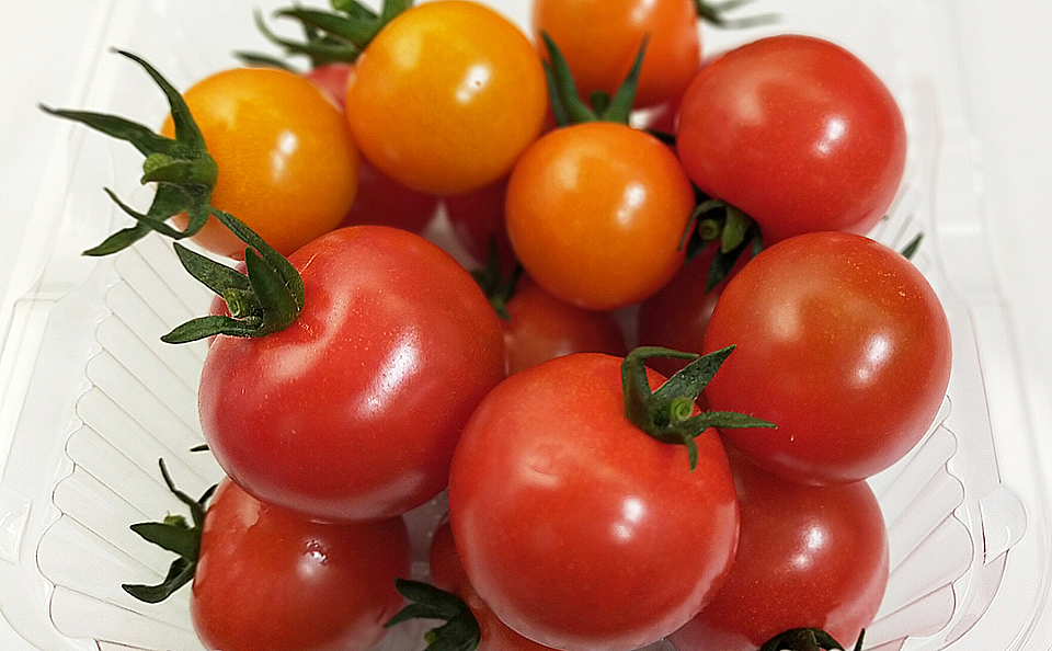 ミニトマト　サンチェリープレミアム　オレンジと赤