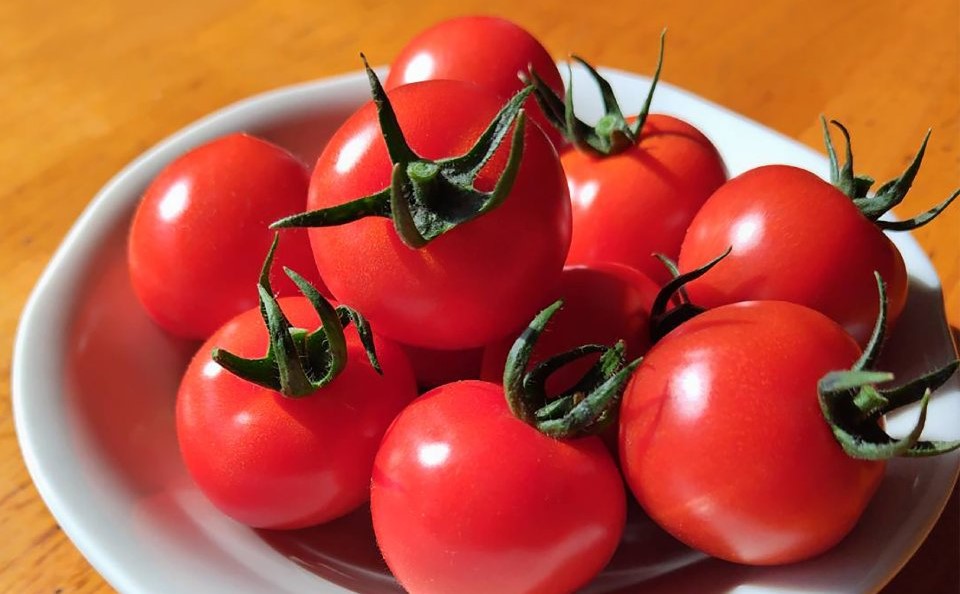 ミディアムトマト　フルティカ